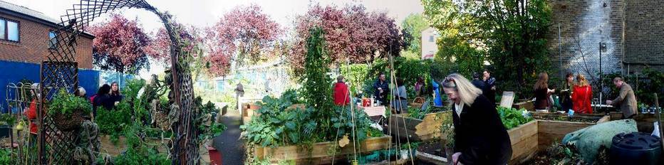 Community Kitchen Garden St Quitins community kitchen garden