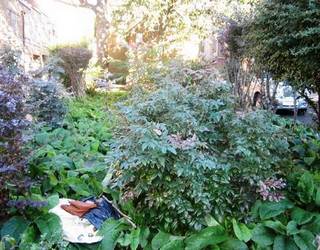 lorne gardens before being improved lorne gardens before being improved