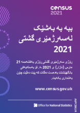 Kurdish - General information poster