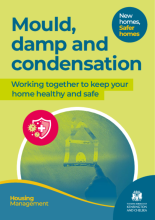 Damp and mould A5 leaflet